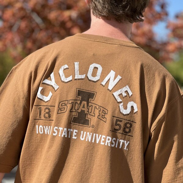 Carhartt I-State 1858 Brown T-Shirt